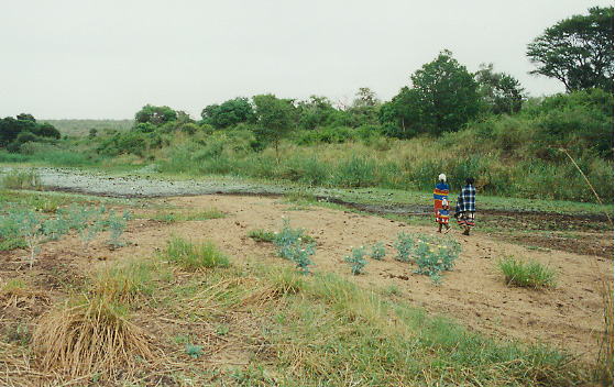 women at Ngungwe River