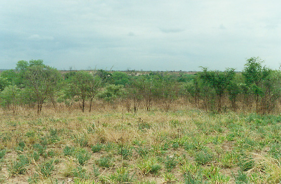 landscape en route to Ngungwe