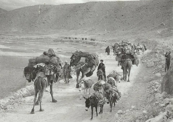 Although camels and donkeys are here shown moving in opposite direction, a single caravan can contain those transport animals, and horses, dogs, chickens and sheep in various proportions. All told the markets of our concern are greatly effected by human engagement of animal kingdom
