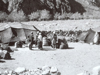 Nomad Tents in the North