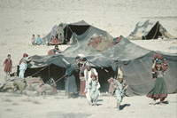Nomad Tents in the South
