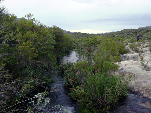 The Olifants River is significant for human history in the Western Cape.