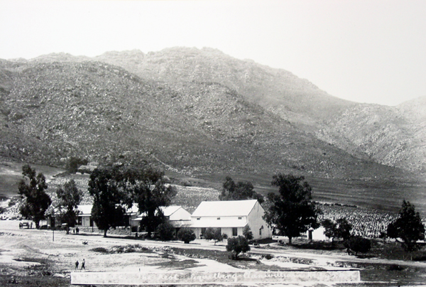 Substantial buildings, trees planted for shade and windbreaks, and cultivated fields (in the background) suggest this farm inherited the legacy of orthodoxy that settlers had established by the end of the eighteenth century in the Olifants River Valley.