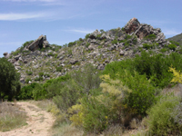 A range of vegetation grows in the semi-arid Cedarberg. This landscape is near the Modder Valleij loan farm claimed by Andries Lubbe, 1751–1785.