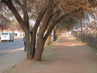 IMAGE from Soweto 2001 HPM: DSCN2394